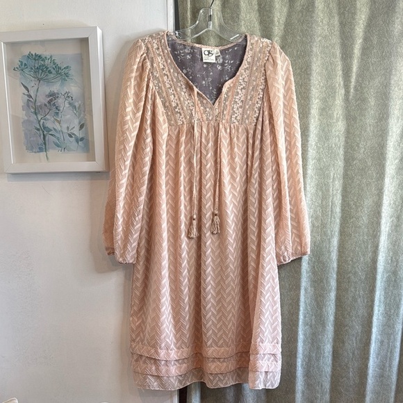 Anthropologie One September Elegant Pink Lace-Trimmed Dress SIZE L - Picture 2 of 13